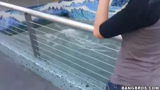 العربدة في الحديقة