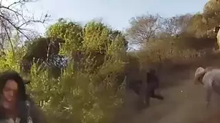 جوزي جايجر يحصل على القبض عليه ويدفع مقابل ذلك