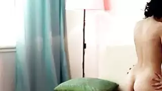 حساسة شيري السادس حدب الديك على الأريكة