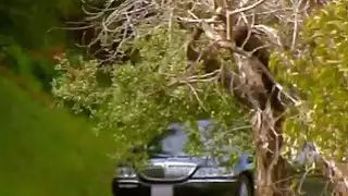 السوبر البرية العهرة العربدة في البيت