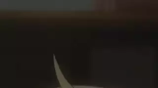 شقراء هنتاي فتاة