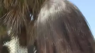 سوبر الساخنة لاتينا الشاطئ ندف والإصبع