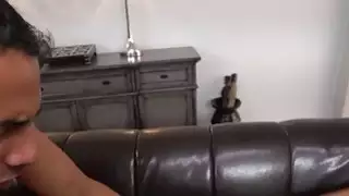 برانو الشد لكس بانديرا على أعلى من صاحب الديك