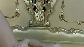بلدي الرطب الهرة بحاجة إليها كل يوم