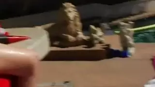 عظيم مجموعة الحمار مرح بواسطة البركة