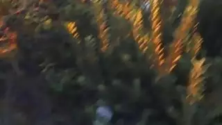 أديسون لعق شفتيها كس مع طرف لسانها