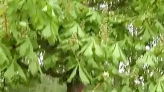 صبي صغير صورة عارية والفيديو الجنس الرجل البالغ من العمر هي حقيقية