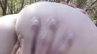 المكسيكي شيك الصلبان الحدود