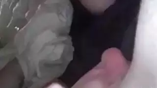صديقة لعق كرات بلدي بوف