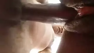 الهرة السوداء جدا وجدا جدا الرطب