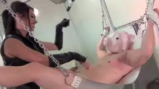 خنزير و POKE