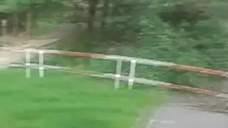 رائع شقراء اللسان و Doggystyle اللعنة في العام