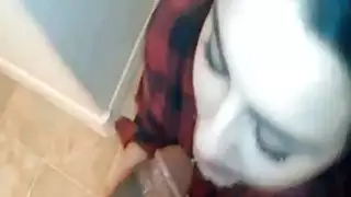 الجمال منقاد بي بي سي مص على ركبتيها