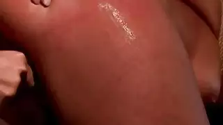 عبودية الهرة الهيمنة