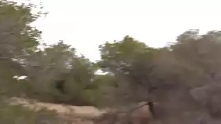 شرطي وهمية الانفجارات سمراء قرب الطريق العام
