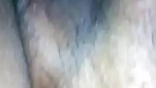 الناضجة الهرة اللاتينية عن قرب