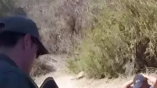 عبور الحدود بشكل غير قانوني على ما يبدو بك للخطر ماذا حدث لانا