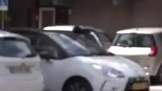 عطلة قرنية مثليه في هولندا