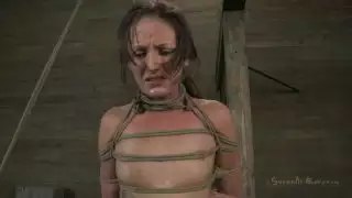 تم إصلاح هيلي العليا في موقف الصلاة معكوس