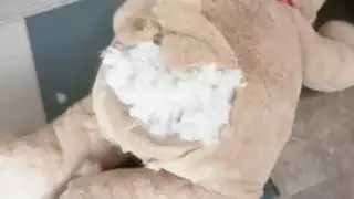 غش مراهق في سن المراهقة مع صديق