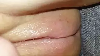 باستخدام دسار على دسم التين الهرة