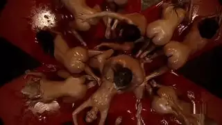 روكو قانغ !!!