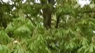 كبير الثدي و منفردا أول مرة بول يحبك إفطارك في