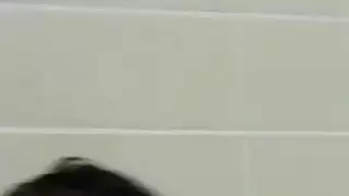 الرطب فاتنة إغاظة الهرات الأصلع في الحمام