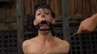 من الصعب إغاظة ل beautys teats أصلع twat