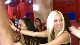 تتناوب الكتاكيت على غمرها