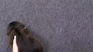 الجراء الخاص بك هو لطيف ولكن كنت أريد