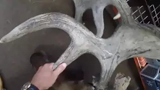 اثنين من lezzies مفلس رهانها twats وقصفت الثابت الحقيقي