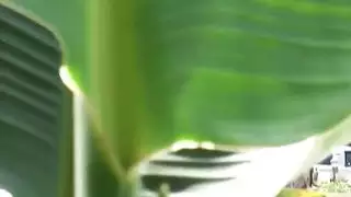 في سن المراهقة shapely يركب ديك