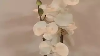 مدلكة جميلة الآسيوية مع كبير الثدي ارضاء العميل سعيدة