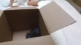 الحلو آشلي آدمز يحب ديك كبيرة من الصعب على بوسها