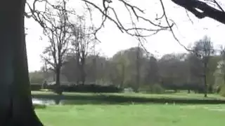 الخبير ادريانا هارتشوري