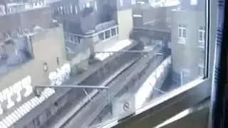 صديقة ركوب ديك بلدي بوف