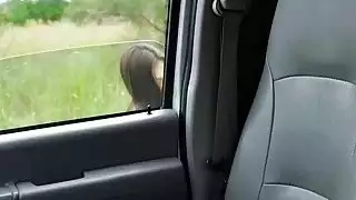 ميشيل مارتينيز هو الحصول على يديها مربوطه ومارسها المهبل ضيق الخام