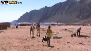 أراد السياح بعض التطرف خلال العطلة