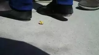 سحق الحلزون 2