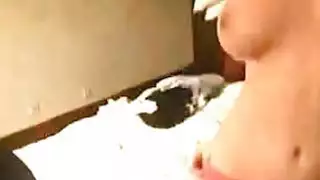زوهاوس جيستريبت
