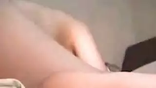 شنيلر فيك