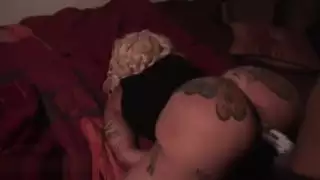 أفضل هدية عيد ميلاد - الحمار الكبير ، الهرة الرطب