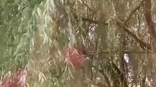 لكن لدهشته ، فإن جمهوره أخذ منه تمامًا ...