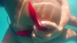 تحصل على الجمال مع gazoo كبير
