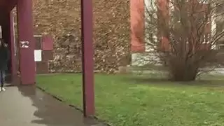 التوائم وامض ثم واحد مص الديك