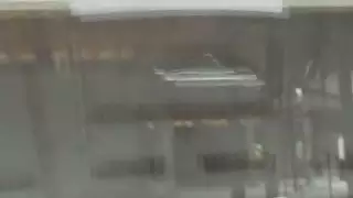 كلية طالبة آن لي في المقعد الخلفي تلعب بوسها