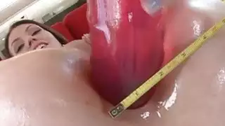 الفرخ الساخن قرنية سارة شيفون