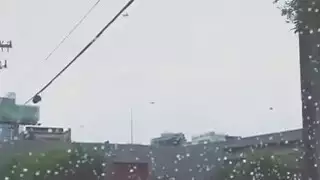 حصلت جميلة مالوري نائب الرئيس الفم بعد ضجيجا سيئة