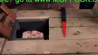 وقت الكلبة للتدريب